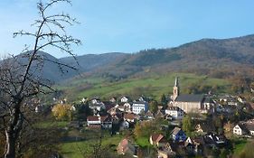Gîte Schlitteur Et Sapiniere